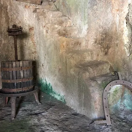Torre Medievale Il Castellaccio צ'יוויטה קסטלנה